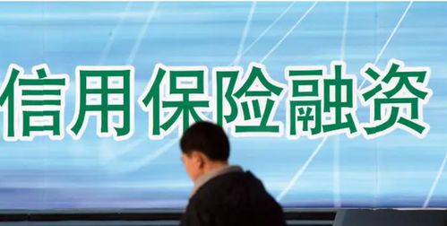 信用保證險業(yè)績經(jīng)歷 過山車 去年保費大增80 至112億元,增信功能受重視