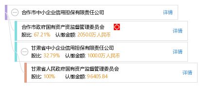 合作市中小企業(yè)信用擔(dān)保有限責(zé)任公司