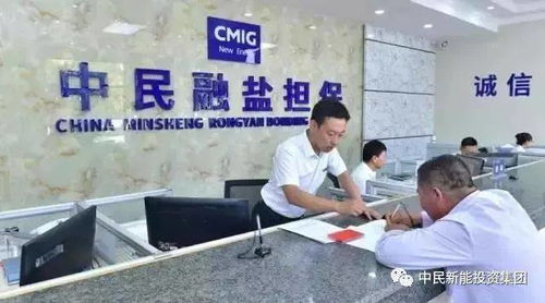 一只灘羊的信用擔保故事