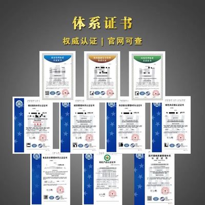 融資擔(dān)保公司信用評級 透視信用擔(dān)保的基石與風(fēng)險(xiǎn)