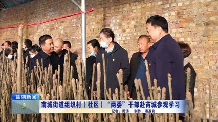 南城街道組織村（社區(qū)）“兩委”干部赴芮城參觀學習苗木租賃經(jīng)驗