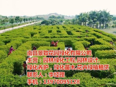 青山湖區園林綠化苗木租賃，一鍵解鎖“花園工廠”新美學